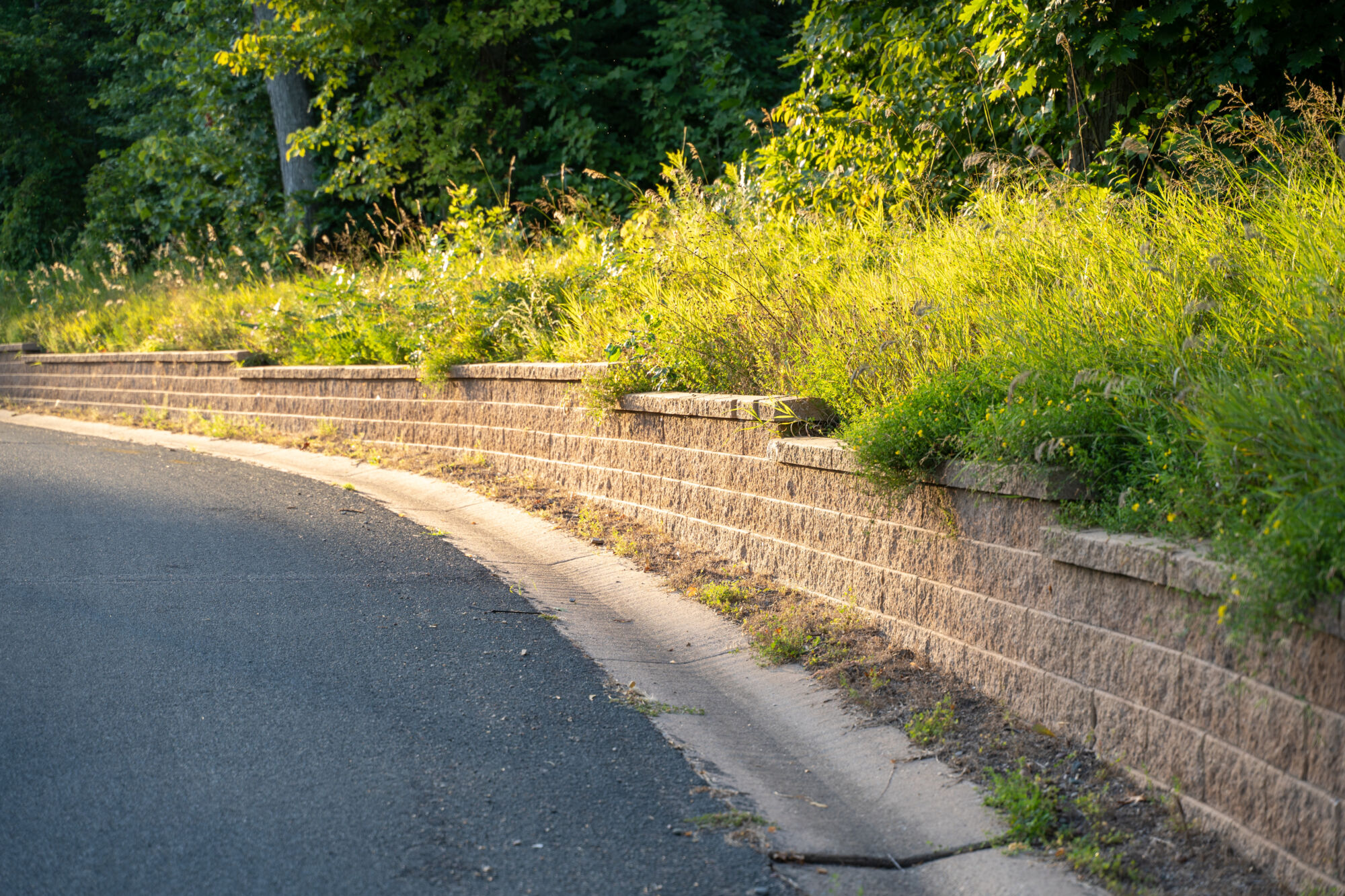 Comment int&eacute;grer un mur de sout&egrave;nement dans votre paysage ? Audincourt